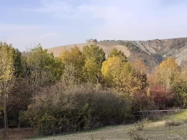Ai Boschi Apartment Ozzano dell'Emilia Luaran gambar
