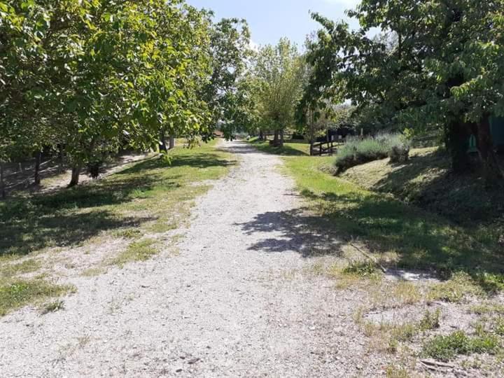 Ai Boschi Apartment Ozzano dell'Emilia Luaran gambar